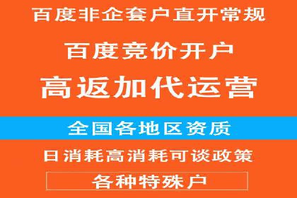 百度推广代理商成功案例：某行业巨头背后的推手